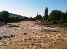 12 дворовых участков затопило в Алматинской области